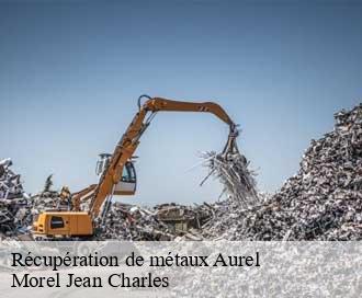 Récupération de métaux aurel-26340 Morel Jean Charles