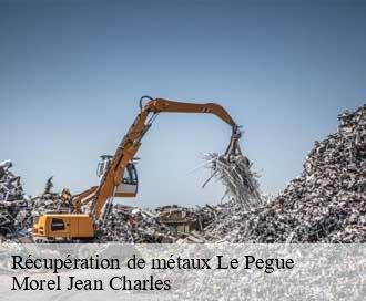 Récupération de métaux le-pegue-26770 Morel Jean Charles